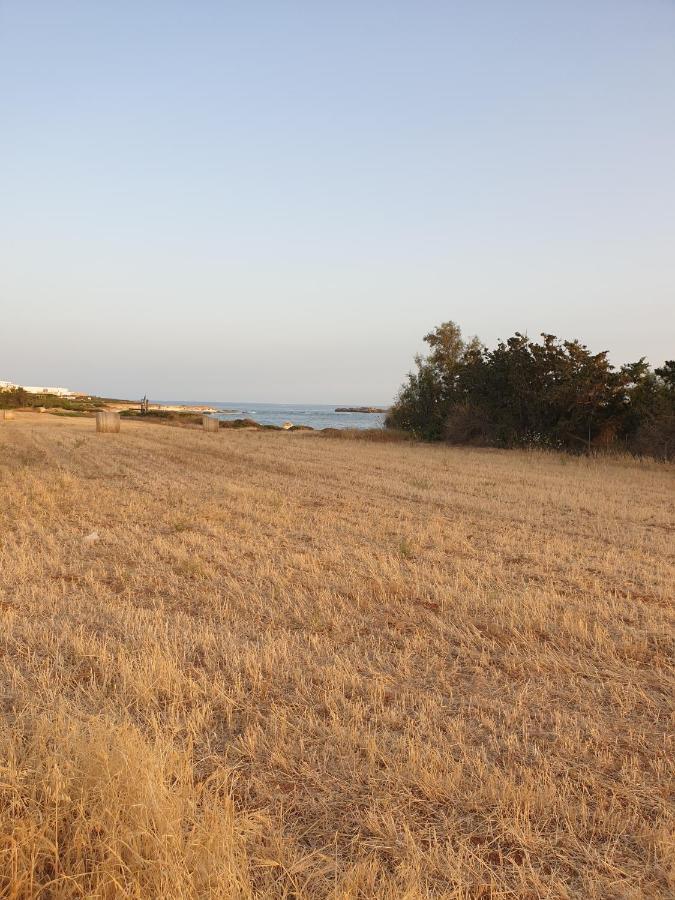 Ikaria Village Maisonette 12 Paphos Exterior foto