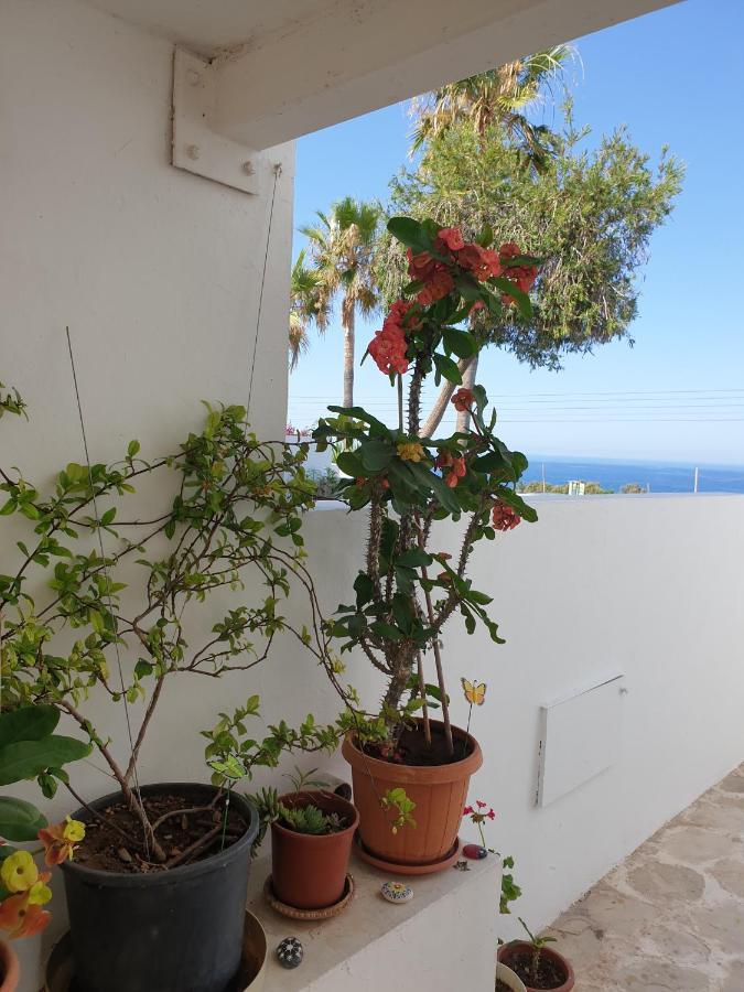Ikaria Village Maisonette 12 Paphos Exterior foto